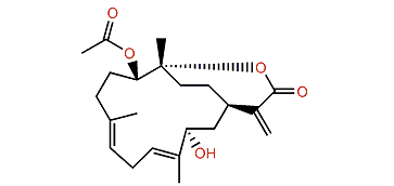 Sinuflexiolide J